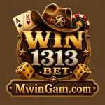 win 1313